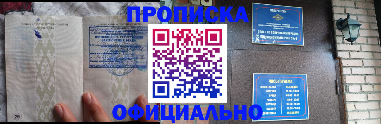 прописка поиск в Новосибирской области